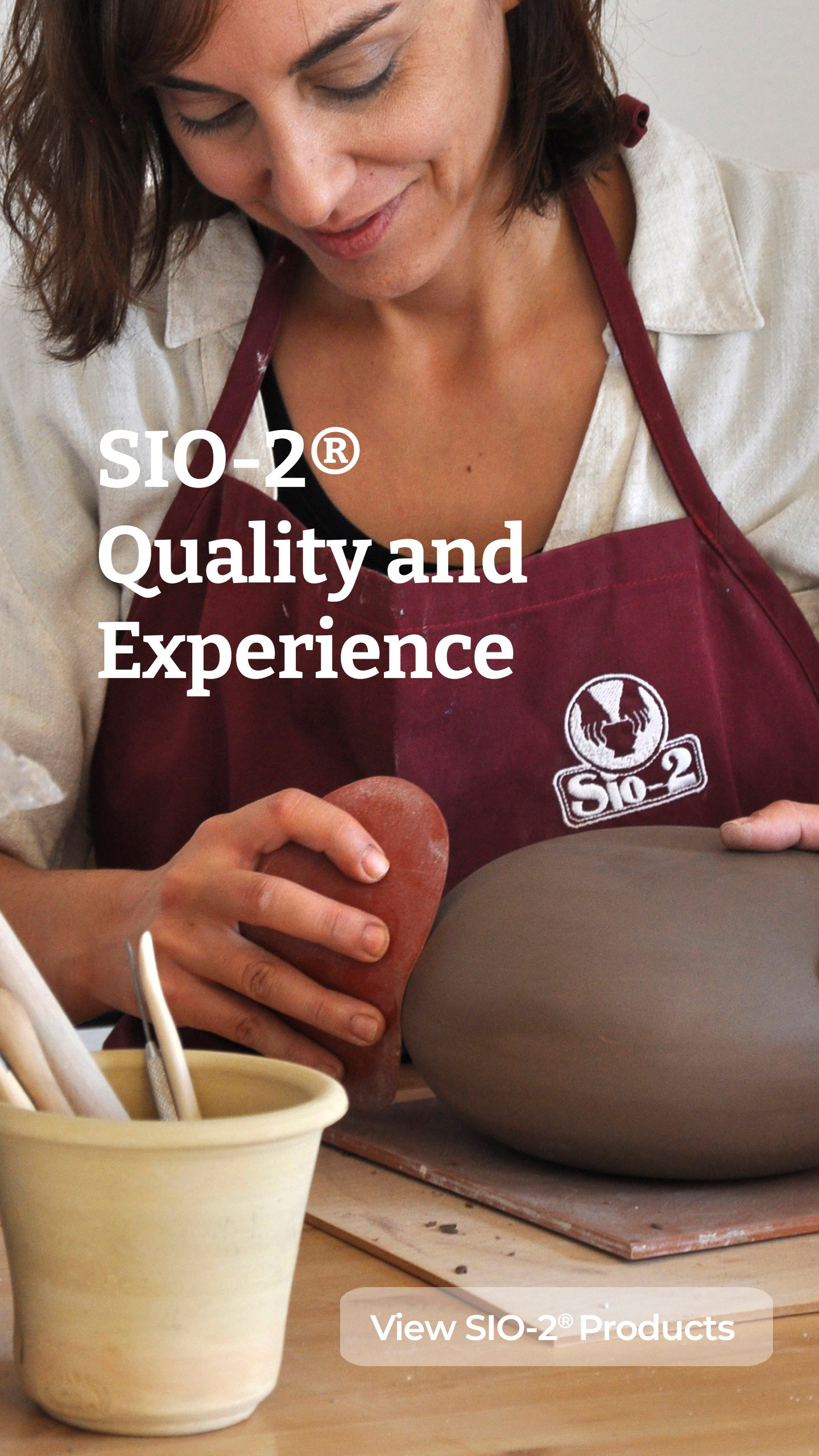 Calidad y Experiencia SIO-2